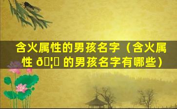 含火属性的男孩名字（含火属性 🦅 的男孩名字有哪些）